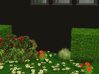 noir_bardeplage_zps9f785dec.gif