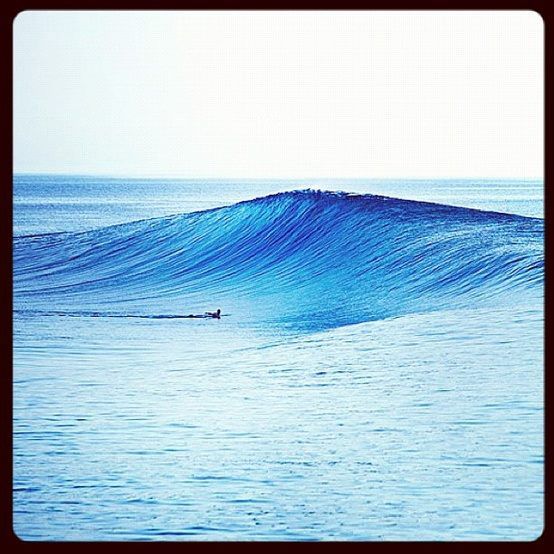 photo de surf 10573