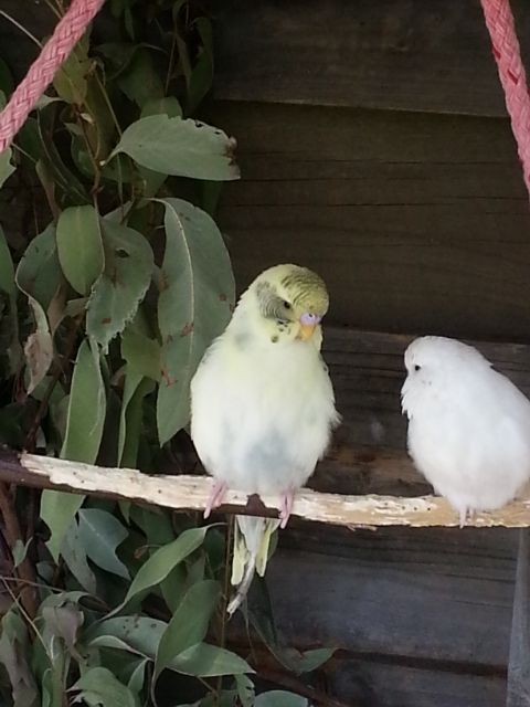 2012-November034_zps88d1695d.jpg?t=1360574316