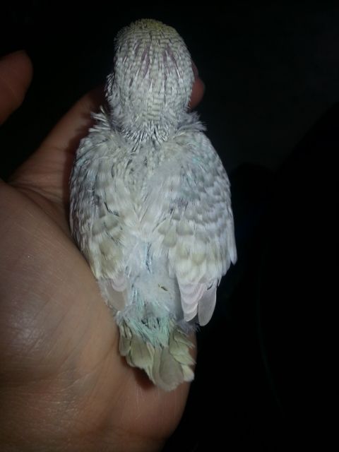 February2013014_zpsa3c5a74c.jpg?t=1361323857