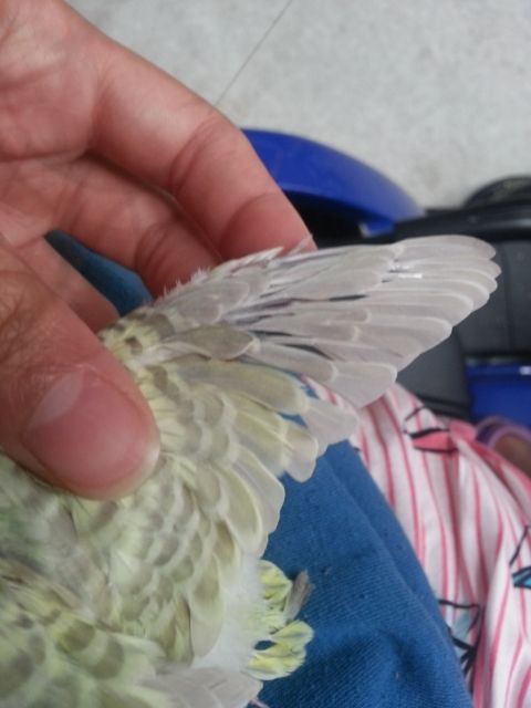 February2013018_zps9b2b0fd7.jpg?t=1361323877