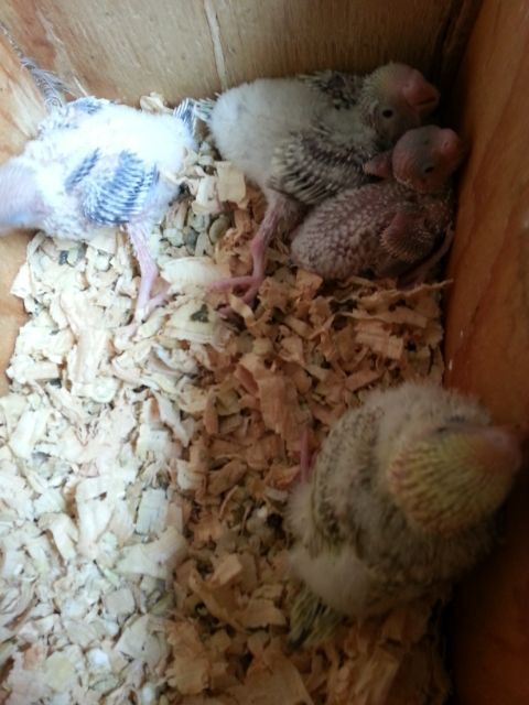 February2013037_zpsf92c0aad.jpg?t=1360932595