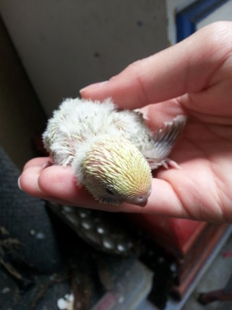 February2013038_zps91a87f1d.jpg?t=1360932571