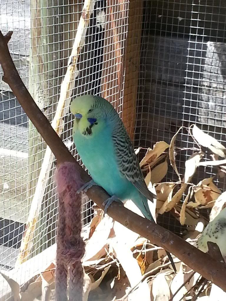 January2013001_zps7a7c807c.jpg?t=1358489722