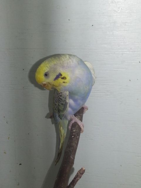 February2013008_zps40ec1ddb.jpg?t=1360579365