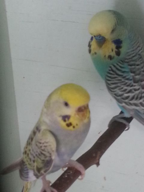 February2013009_zpsfaefbdf1.jpg?t=1360579375