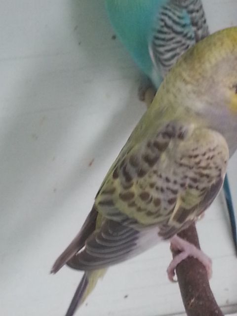 February2013013_zpsb122e03c.jpg?t=1360579333