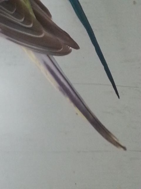 February2013015_zpsbcfb7a91.jpg?t=1360579345