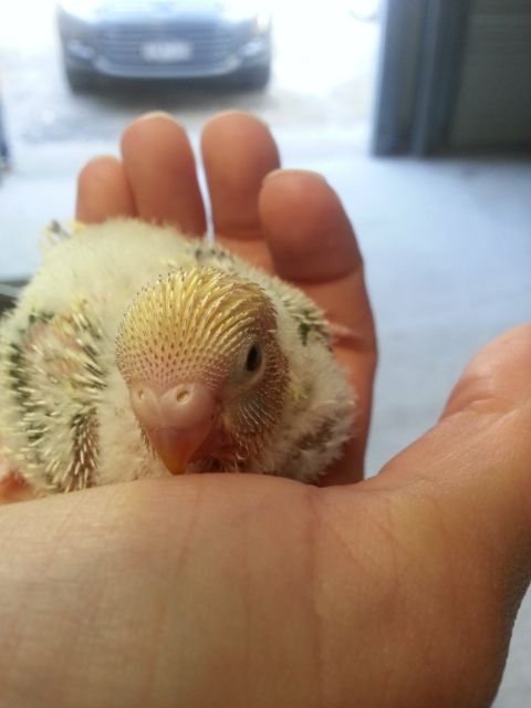 February2013038_zpsdea1b474.jpg?t=1360751119