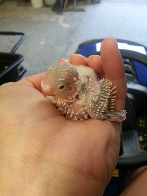 February2013039_zpsc367cc58.jpg?t=1360665233