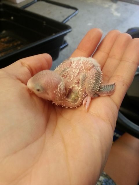 February2013045_zps40a60b78.jpg?t=1360665206