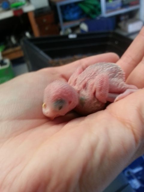 February2013049_zps1ba2ebdf.jpg?t=1360665248