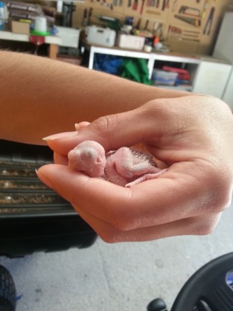 February2013081_zps68568509.jpg?t=1360672734