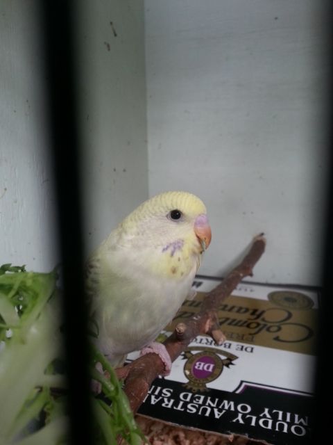 March2013032_zpse3daa4ad.jpg?t=1362302386