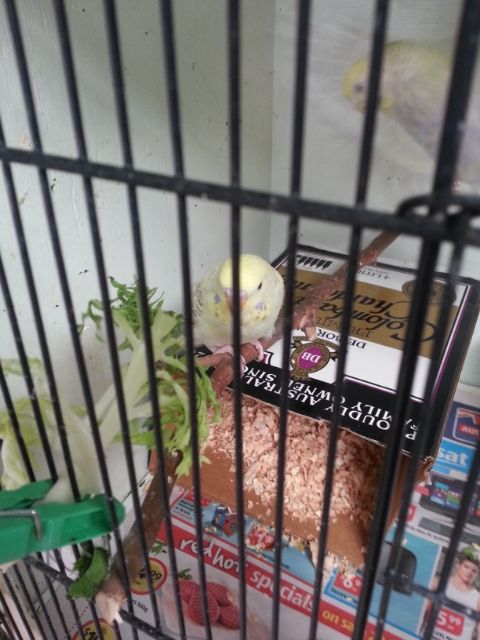 March2013034_zps9b99a3a2.jpg?t=1362302377