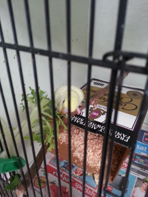 March2013035_zpsc4ef9cb2.jpg?t=1362302368