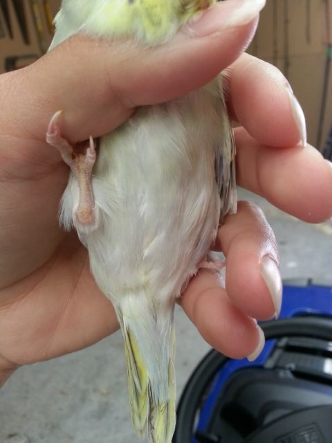 March2013097_zps6a5f7b38.jpg?t=1362019902