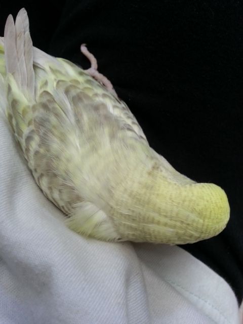 March2013098_zpsb42605bf.jpg?t=1362019930