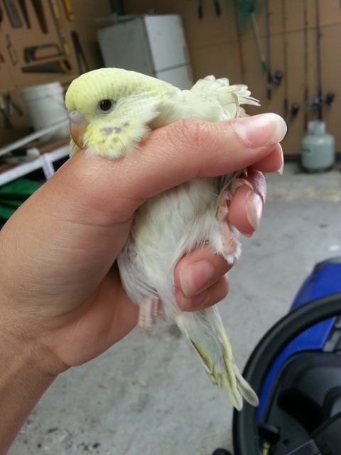 March2013099_zps5218540a.jpg?t=1362019925