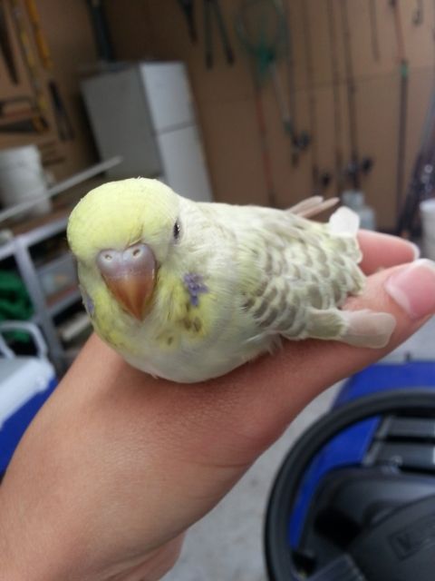 March2013101_zpsc4f987a4.jpg?t=1362019941