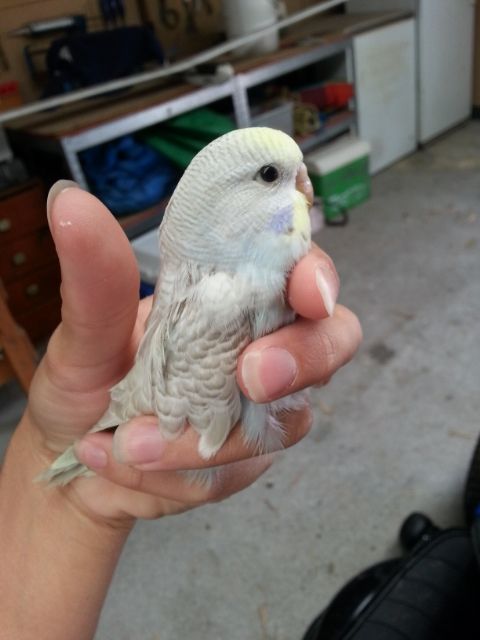 March2013102_zps3366e5d7.jpg?t=1362020237