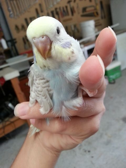 March2013103_zpsb91b1fe1.jpg?t=1362020201