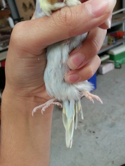 March2013104_zps77e929af.jpg?t=1362020225