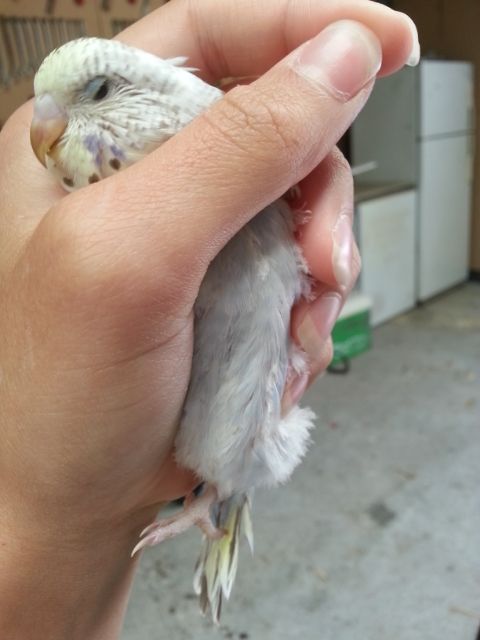 March2013106_zpsdd1ce641.jpg?t=1362020738