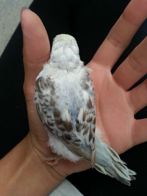 March2013107_zpse66f2902.jpg?t=1362020458