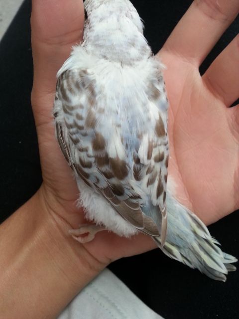 March2013108_zpsf7d0a71f.jpg?t=1362020530