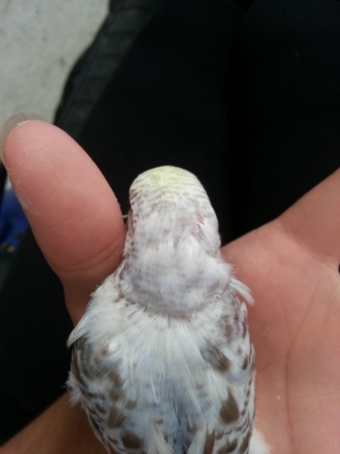 March2013109_zpsbb5faee4.jpg?t=1362020464