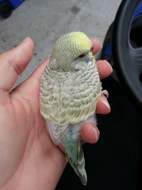 March2013110_zps219c3604.jpg?t=1362020890