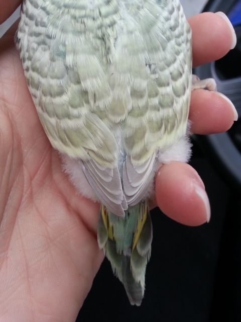 March2013111_zps3bea43b5.jpg?t=1362021022