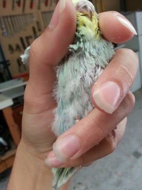 March2013112_zpsfe5cdea9.jpg?t=1362020996