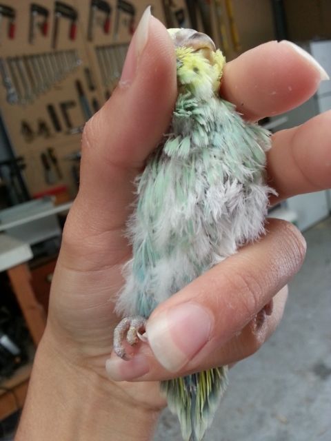 March2013113_zps086f4c47.jpg?t=1362020876