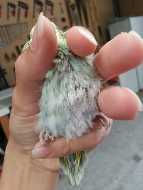 March2013114_zps245c3f89.jpg?t=1362020911