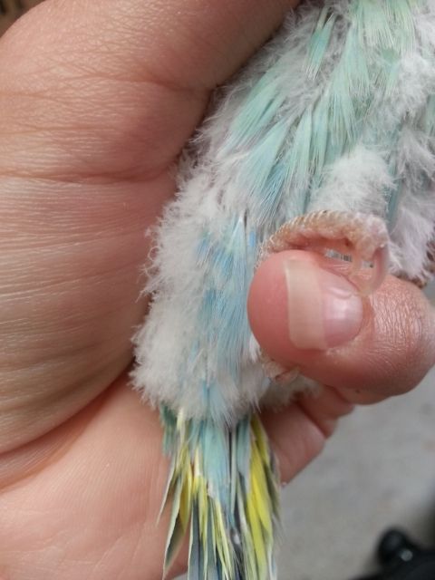 March2013115_zpsd01ef0c9.jpg?t=1362020970