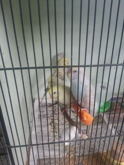 March2013222_zps37f8bb4b.jpg?t=1362809166