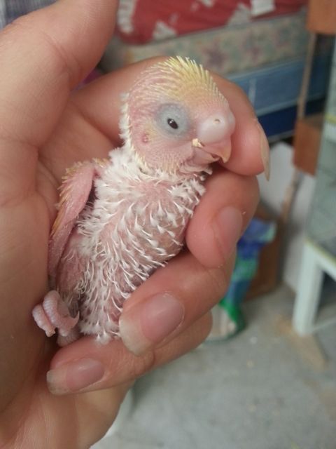 March2013036_zpsea168f3a.jpg?t=1362809477