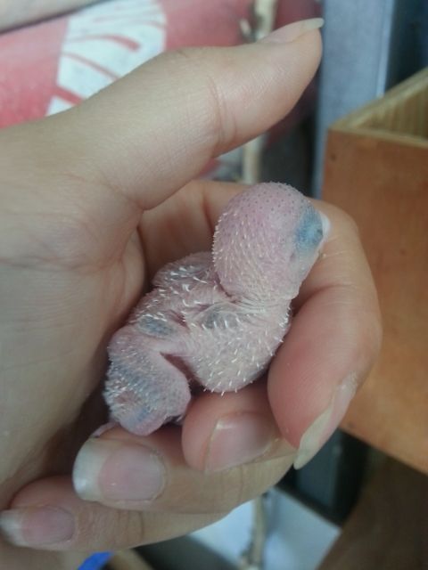 March2013037_zpsafcb0e22.jpg?t=1362809674