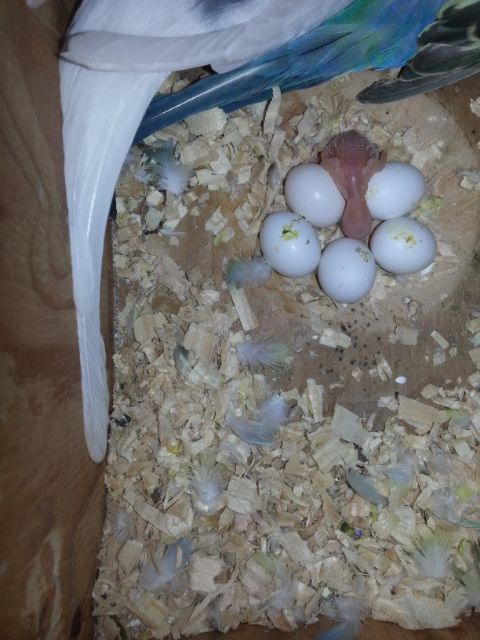 March2013096_zps956096fd.jpg?t=1362019624