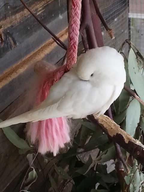 2012-November049_zpsc4991655.jpg?t=1360577802