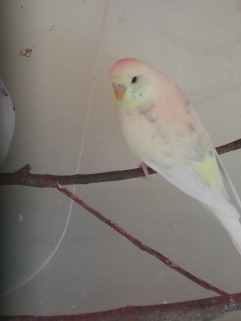 February2013010_zpse7e2dfbe.jpg?t=1360577283