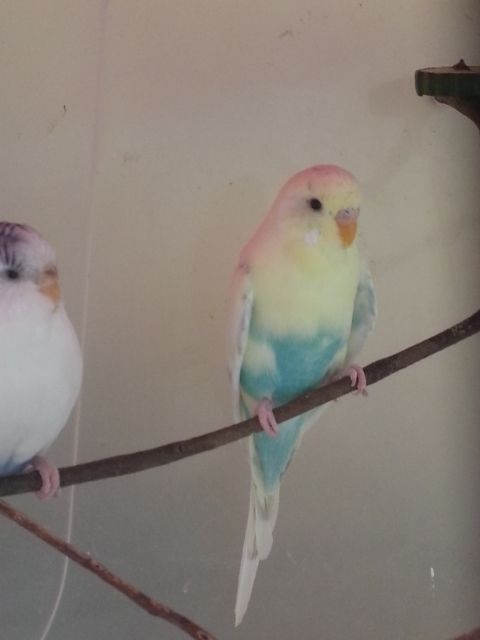 February2013014_zps326668fa.jpg?t=1360577292