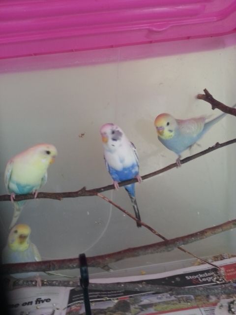 February2013017_zpsa9e47172.jpg?t=1360576880