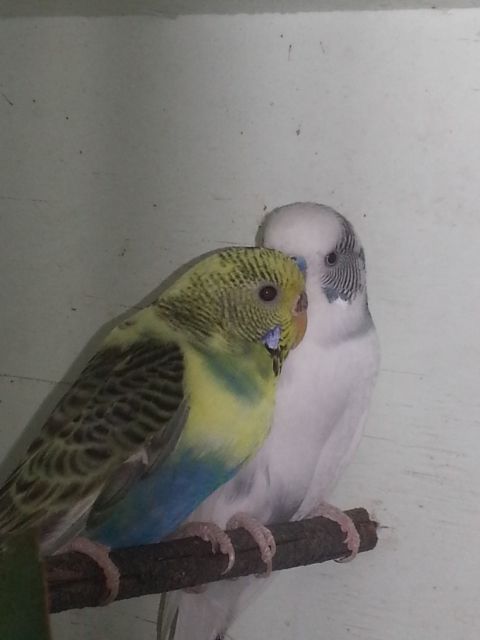 February2013024_zps6877fe91.jpg?t=1360577466