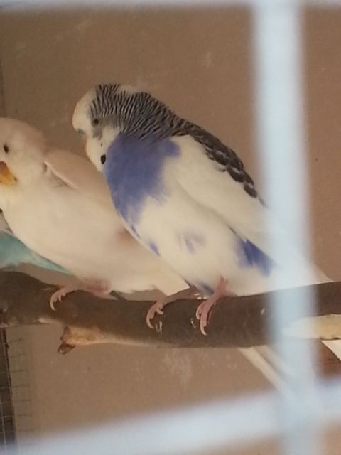 February2013026_zps580089ea.jpg?t=1360574197