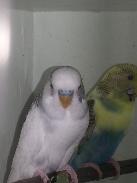 February2013028_zps5e379a5c.jpg?t=1360577428