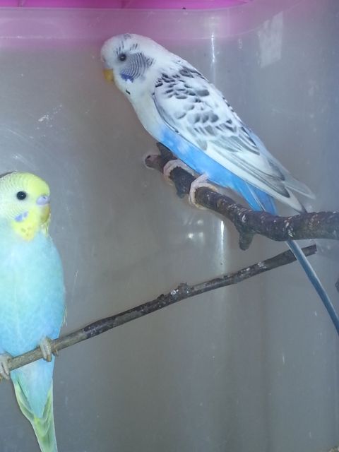 February2013039_zps83557adc.jpg?t=1360576866