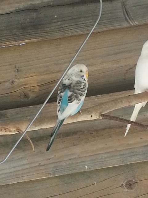 February2013042_zpsa12e5dcb.jpg?t=1360574502